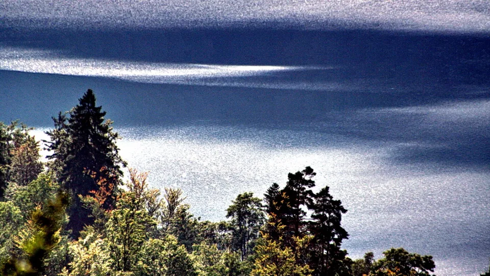 Ein Bergsee mit glitzernder Wasseroberfläche und dunklen Streifen, im Vordergrund ragen Nadelbäume und Laubbäume ins Bild.