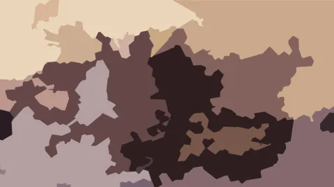 Abstraktes Muster aus unregelmäßigen Flächen in Beige, Braun und Dunkelbraun, dicht verzahnt wie eine Tarnung.