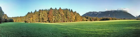 Breites Panorama: links und mittig ein dichter Mischwald mit gelb und orange gefärbten Laubbäumen, davor eine sattgrüne Wiese, rechts ein bewaldeter Berg mit Wolkenfetzen am Gipfel unter hellblauem Himmel.