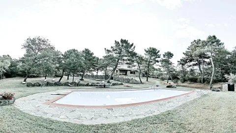 Ovales Swimmingpool mit rotbraunem Rand und Natursteinplatten, dahinter Kiefern, Wiese und ein steinernes Haus unter hellem Himmel.