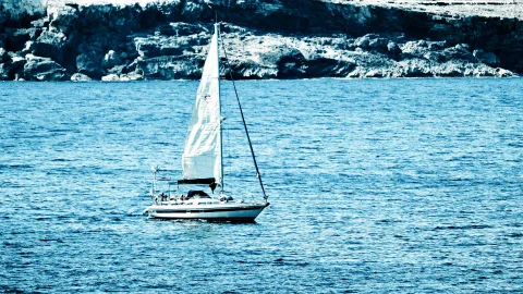 Ein weißes Segelboot mit gesetztem Großsegel fährt auf ruhigem blauem Meer vor einer felsigen Küste.