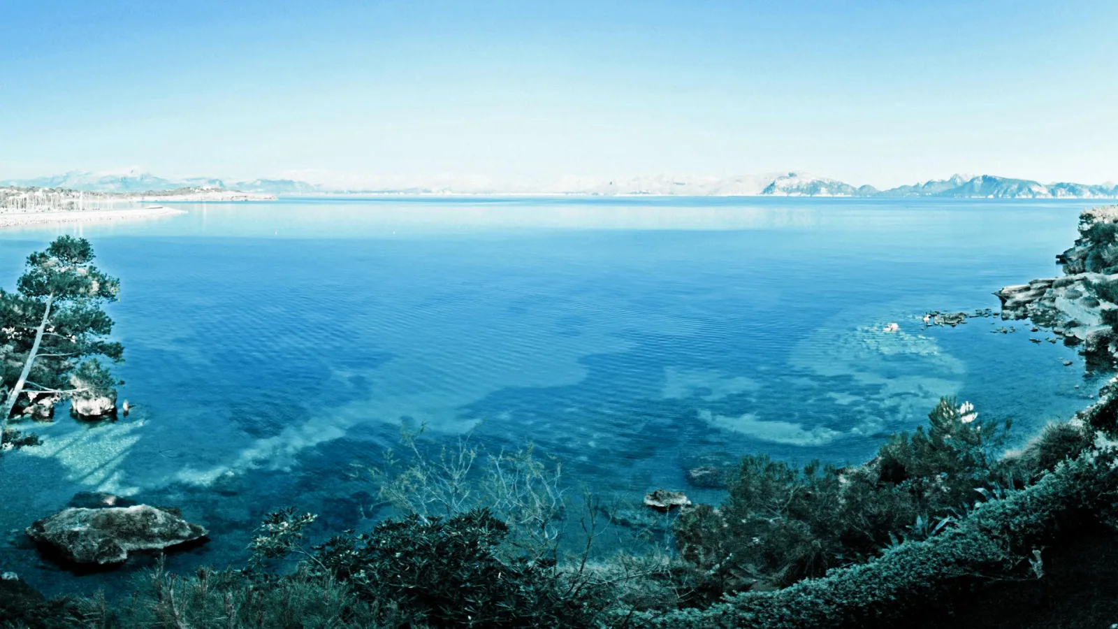 Panorama einer felsigen Bucht mit türkisblauem Meer, einer Kiefer am linken Rand und einem Bergzug am Horizont unter klarem Himmel.