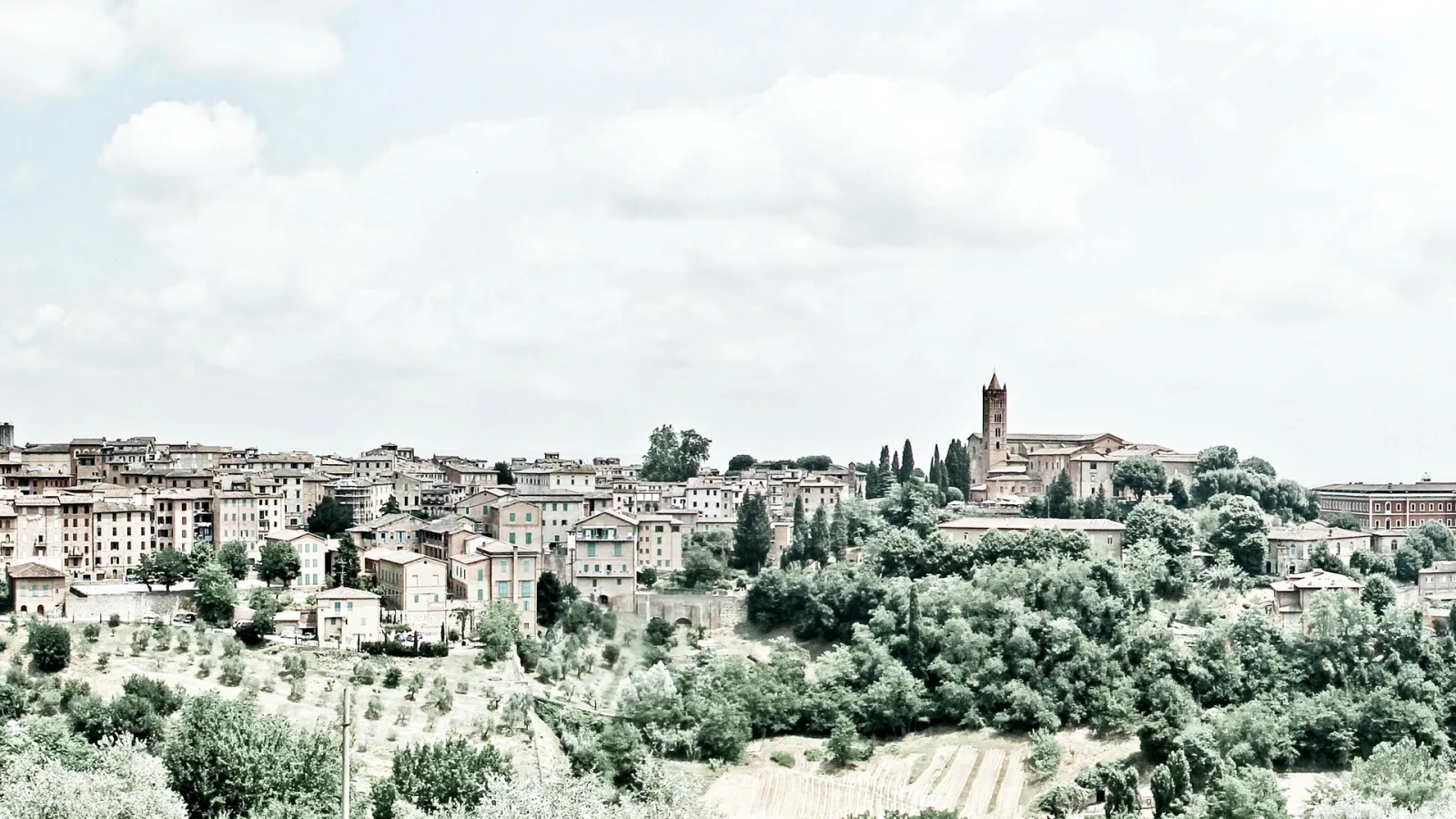Hügelstadt Siena mit dicht stehenden Häusern, grünen Bäumen im Vordergrund und einer Kirche mit Glockenturm unter weißen Wolken am hellen Himmel.