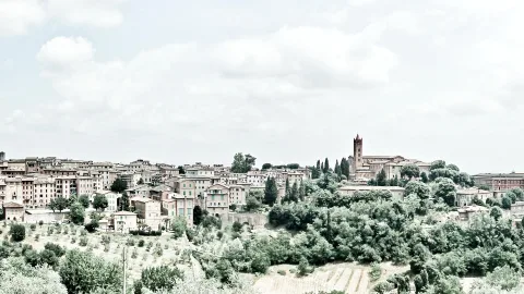 Hügelstadt Siena mit dicht stehenden Häusern, grünen Bäumen im Vordergrund und einer Kirche mit Glockenturm unter weißen Wolken am hellen Himmel.