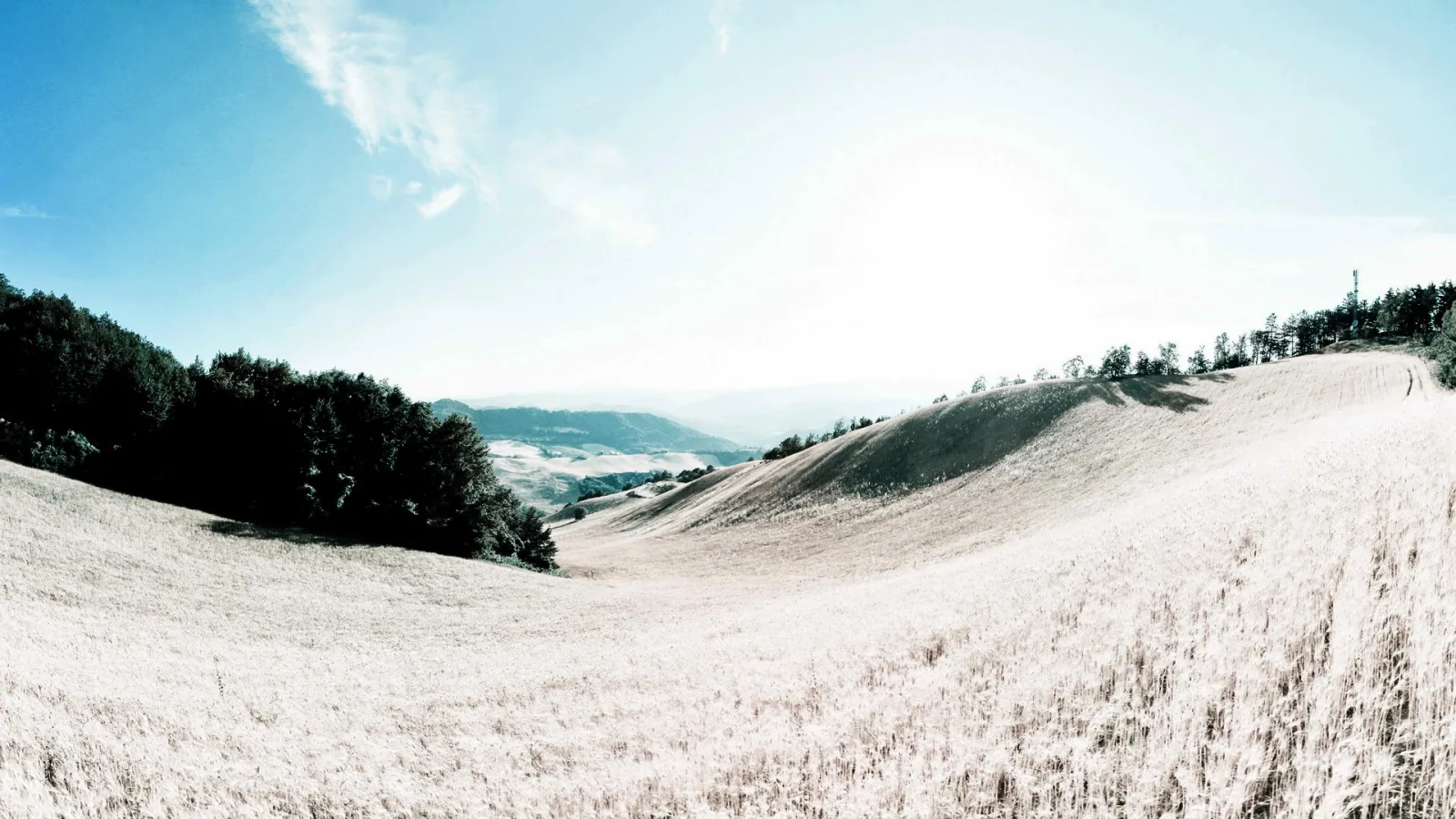 Panoramablick auf sanft gewellte, helle Graslandschaft mit einer dunklen Baumgruppe links, einem Tal mit Dunst im Mittelgrund und blauem Himmel mit Sonnenlicht oben.