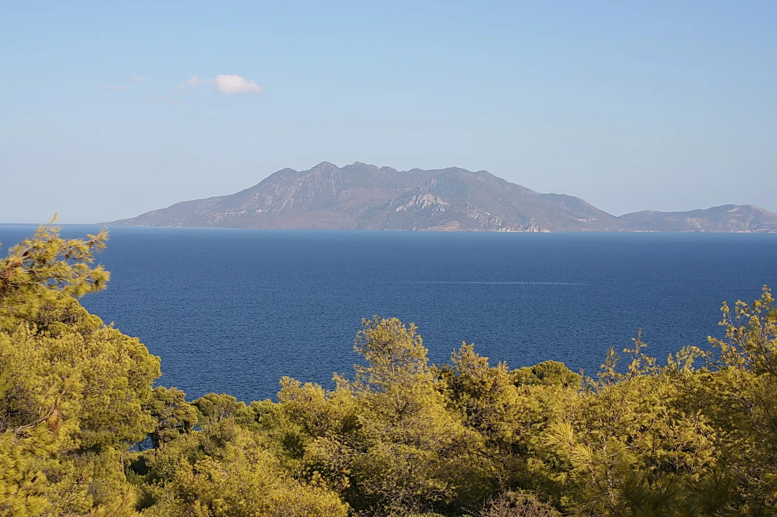 Blick über dunkelblaues Meer auf eine bergige Insel am Horizont, im Vordergrund grüne Kiefernzweige unter klarem Himmel