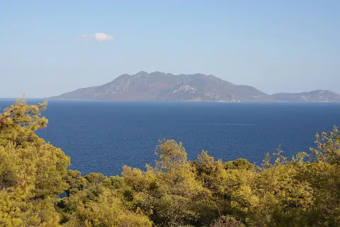 Blick über dunkelblaues Meer auf eine bergige Insel am Horizont, im Vordergrund grüne Kiefernzweige unter klarem Himmel