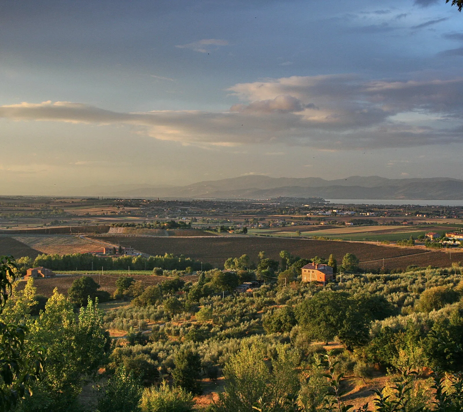 Weite Landschaft mit Olivenhainen, einem roten Gehöft und Feldern, dahinter der Lago Trasimeno und Hügelketten bei Abenddämmerung.
