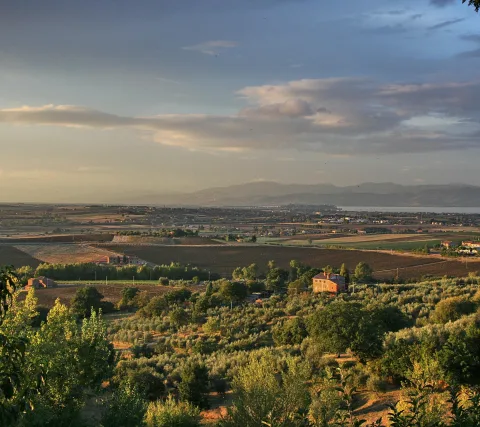 Weite Landschaft mit Olivenhainen, einem roten Gehöft und Feldern, dahinter der Lago Trasimeno und Hügelketten bei Abenddämmerung.