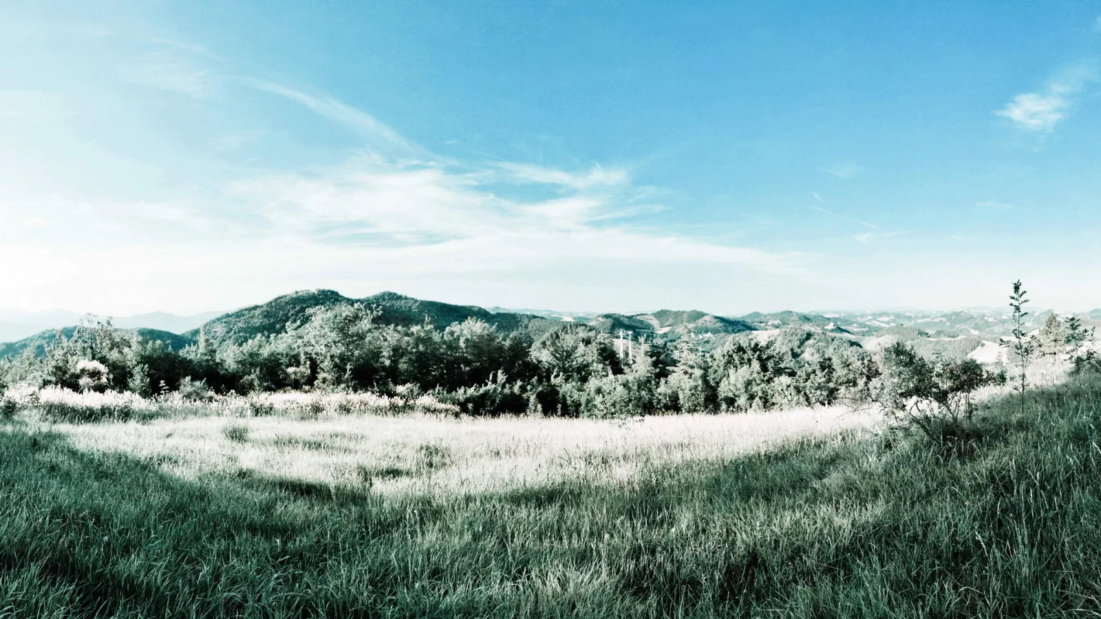 Weite Wiese mit hohen Gräsern im Vordergrund, dahinter bewaldete Hügel unter blauem Himmel mit Schleierwolken.