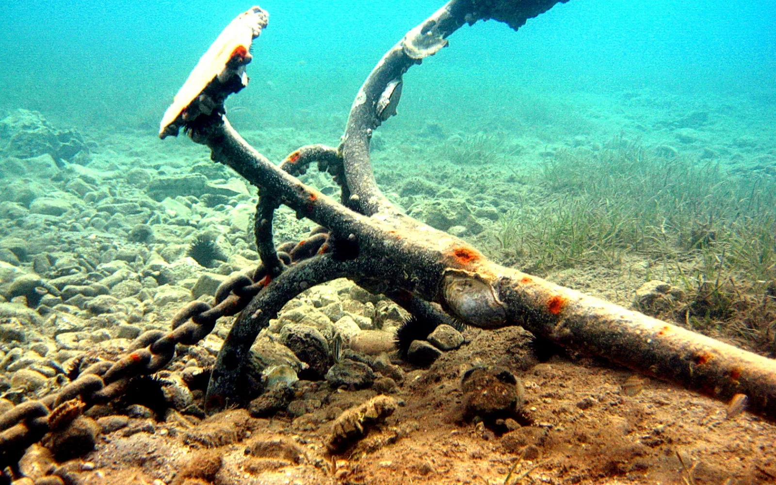Ein rostiger Anker mit Kette liegt auf steinigem, sandigem Meeresgrund, im Hintergrund wächst Seegras in türkisfarbenem Wasser.