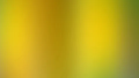 Unscharfer Verlauf von Gelb über Ocker bis Grün, ohne erkennbare Motive