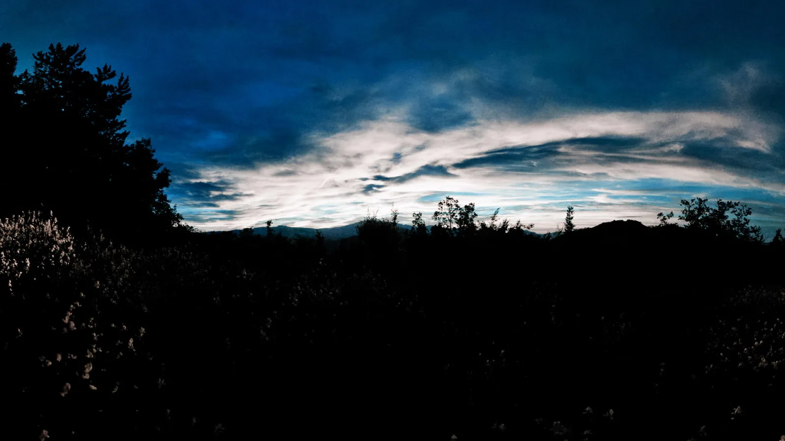 Dunkle Silhouetten von Büschen und Bäumen vor einem blauen Himmel mit hellen, schlierigen Wolken, die zum Horizont hin leuchten.
