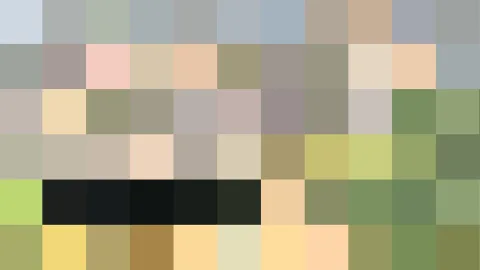 Rasterbild aus kleinen farbigen Blöcken in Grün, Beige, Grau und Schwarz, in sechs Zeilen angeordnet.