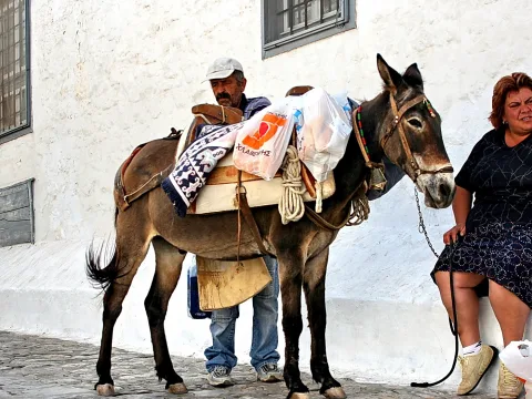 Ein brauner Esel mit Packsattel, Decke und Plastiktüten steht auf einer Gasse mit Kopfsteinpflaster vor einer weiß getünchten Wand, links steht ein Mann mit Kappe, rechts sitzt eine Frau auf einer Mauer.