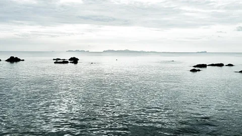 Ruhige graue See mit dunklen Felsen im Wasser, am Horizont sind flache Inseln zu sehen, der Himmel ist bedeckt.