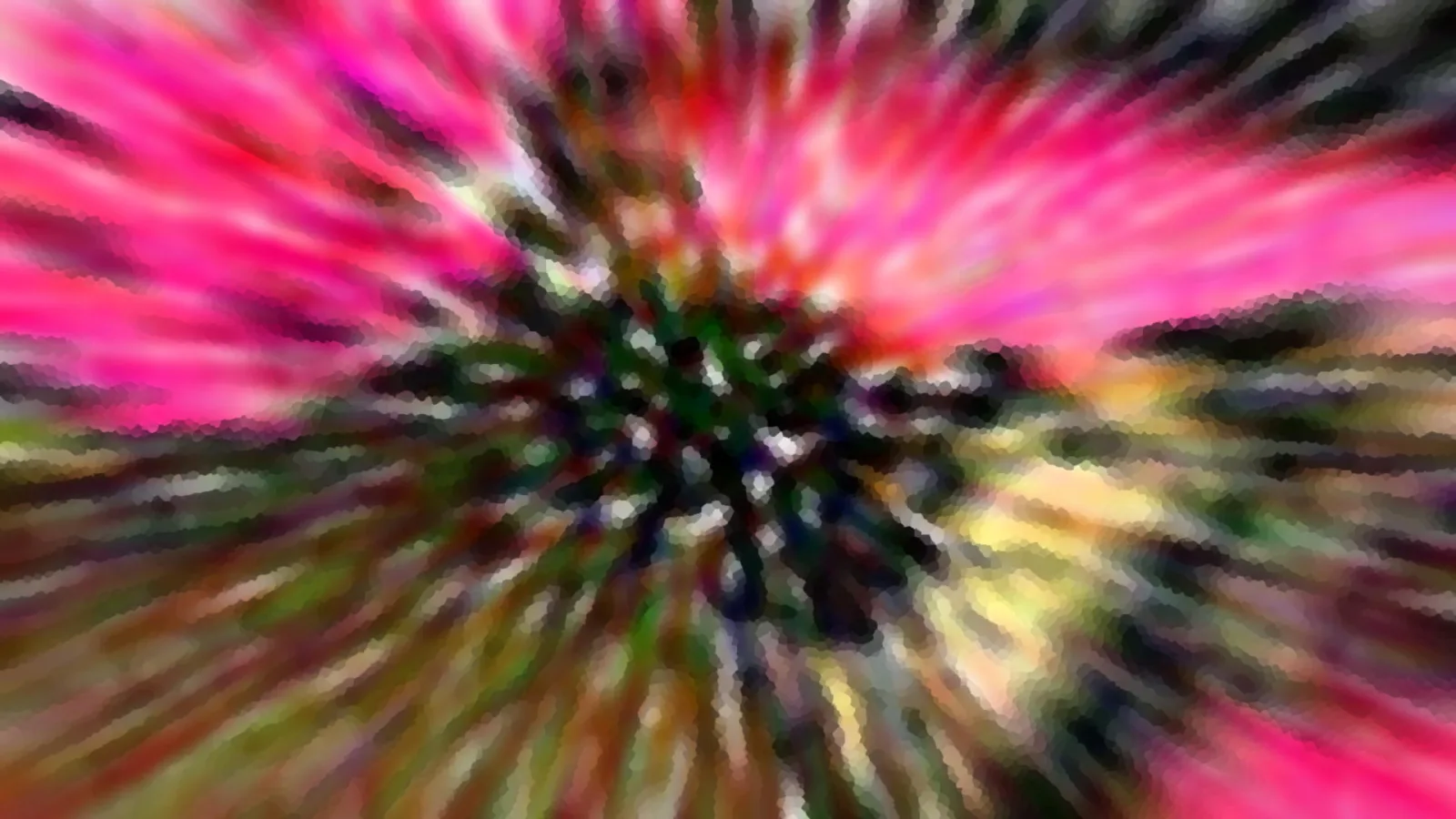 Abstrakte Aufnahme mit radialem Zoomeffekt: Pinke und rote Streifen laufen von einem dunklen, grünen Zentrum nach außen, am Rand in Gelb und Braun.