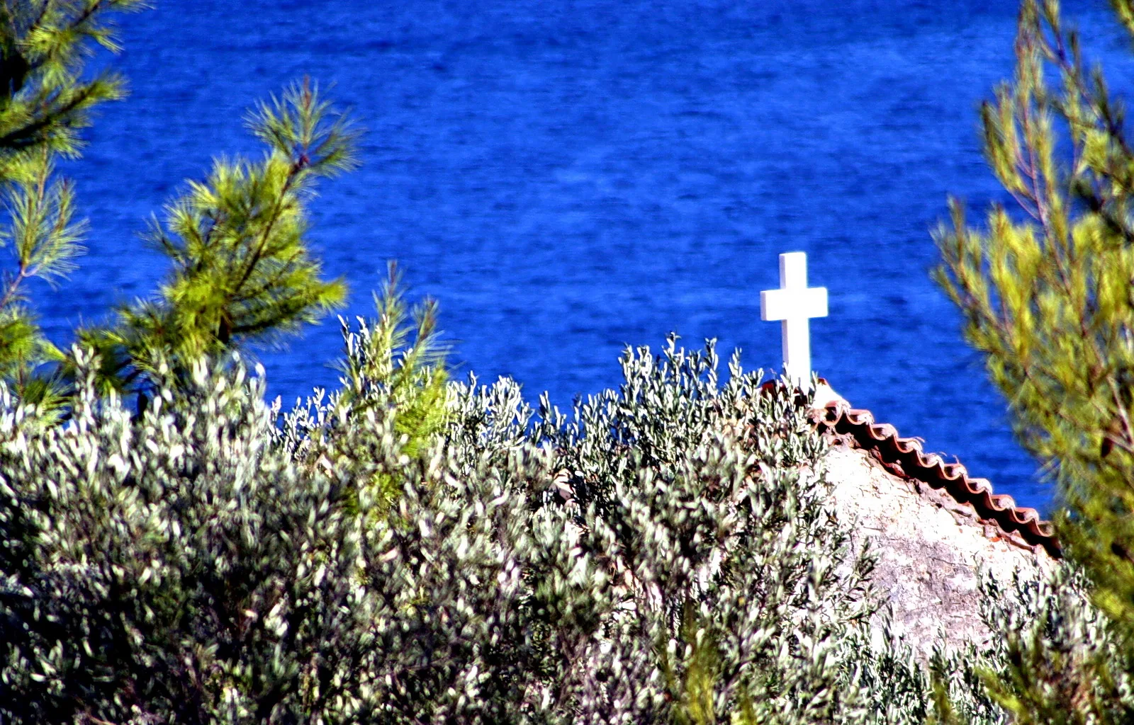 Weißes Kreuz auf einem Ziegeldach zwischen Olivenbäumen und Kiefern, dahinter das blaue Meer.