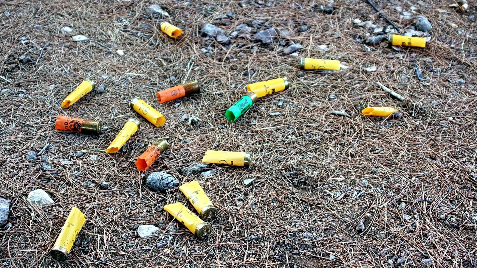 Verstreute Schrothülsen in Gelb, Orange und Grün auf braunem Waldboden mit Kiefernnadeln und kleinen Kieseln.