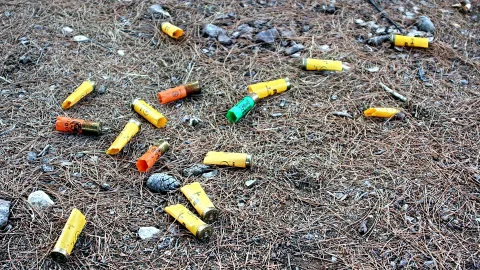 Verstreute Schrothülsen in Gelb, Orange und Grün auf braunem Waldboden mit Kiefernnadeln und kleinen Kieseln.