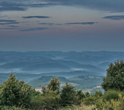 Weite Hügellandschaft im Morgennebel, dunkle Baumgruppen im Vordergrund, ein helles Gebäude im Tal und bewölkter Himmel in Blau- und Rosatönen.