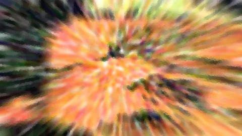 Stark verwischte Aufnahme mit radialen Schlieren in Orange, Gelb und Dunkelgrün, die von einem hellen Zentrum nach außen laufen.