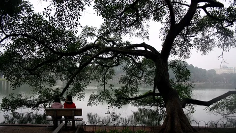 Zwei Frauen sitzen auf einer Holzbank unter einem großen, weit ausladenden Baum am Ufer eines Sees. Im Hintergrund sind Bäume und ein Gebäude im Dunst zu sehen.
