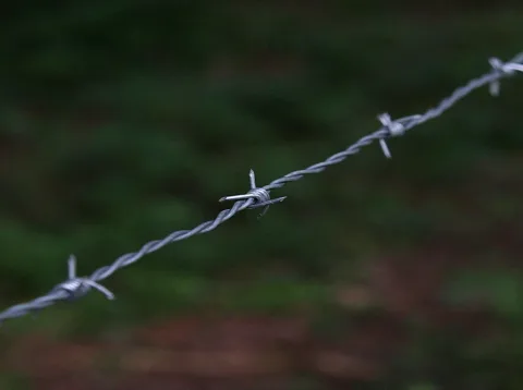 Ein verdrillter Stacheldraht verläuft diagonal von links unten nach rechts oben, mit Widerhaken in regelmäßigen Abständen. Der Hintergrund ist unscharf und dunkelgrün mit einzelnen rötlichen Flecken.