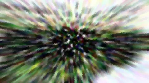 Abstrakte Komposition aus grünen, violetten und weißen Streifen, die von einem dunklen Zentrum radial nach außen laufen.