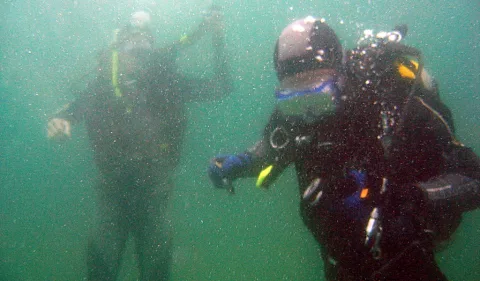 Zwei Taucher in Tauchausrüstung schwimmen unter Wasser, im Vordergrund rechts, im Hintergrund links unscharf; grünliches Wasser und aufsteigende Luftblasen.