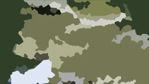 Abstraktes Muster aus unregelmäßigen grünen, olivfarbenen und hellgrauen Flächen auf dunkelgrünem Grund.