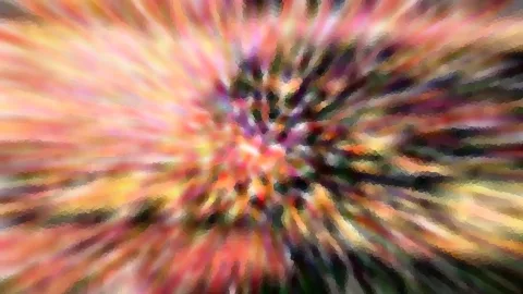 Abstrakte radiale Unschärfe mit Farbstreifen in Rosa, Gelb, Orange und Dunkelgrün, die von allen Seiten zur Bildmitte laufen.
