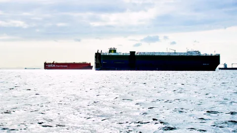 Zwei große Frachtschiffe auf ruhigem Meer unter bewölktem Himmel; links ein kleineres rotes Schiff mit der Aufschrift Pan Ocean, rechts ein langes dunkles Schiff mit weißen Aufbauten.