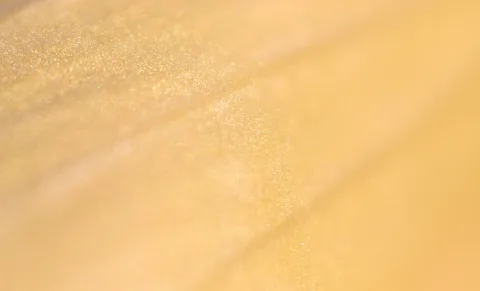 Nahaufnahme einer goldgelben Blütenblattoberfläche mit feinen glitzernden Partikeln und weichen Übergängen in Richtung rechts.
