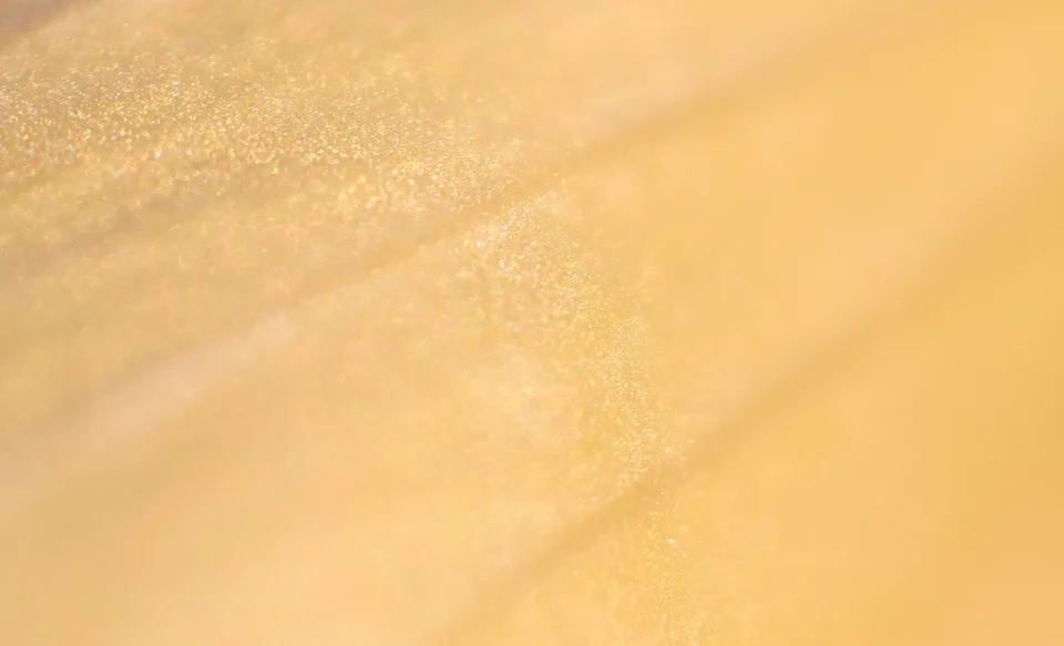 Nahaufnahme einer goldgelben Blütenblattoberfläche mit feinen glitzernden Partikeln und weichen Übergängen in Richtung rechts.