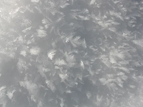 Nahaufnahme einer gefrorenen Fläche, bedeckt mit vielen kleinen, verzweigten Eiskristallen in Silber und Grau.