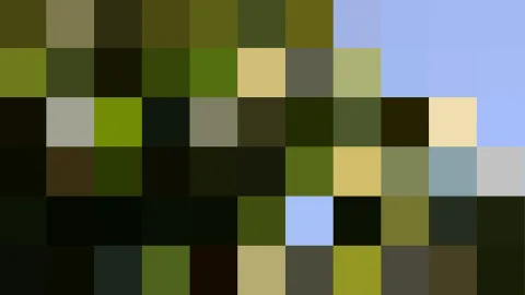 Abstrakte Komposition aus grob gerasterten Farbfeldern in Olivgrün, Dunkelgrün, Schwarz, Gelb und Hellblau, rechts oben eine helle blaue Fläche.