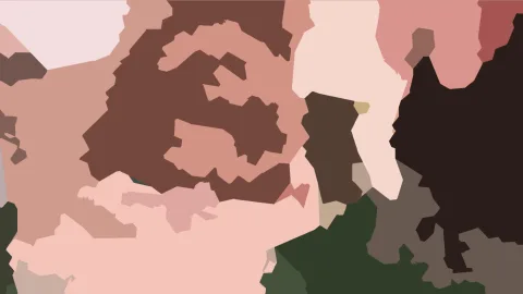 Abstrakte Komposition aus unregelmäßigen, flachen Farbflächen in Braun, Rosa, Beige, Schwarz und Dunkelgrün.