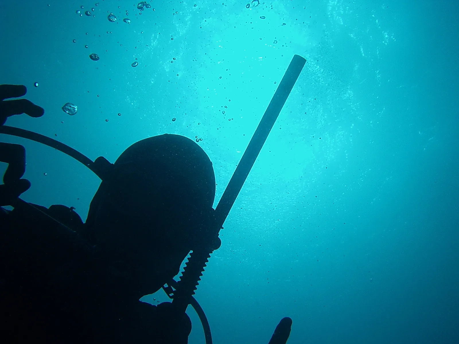 Silhouette eines Tauchers unter Wasser vor hellblauem Hintergrund, im Vordergrund steigen Luftblasen auf, rechts ragt ein Schlauch schräg nach oben.