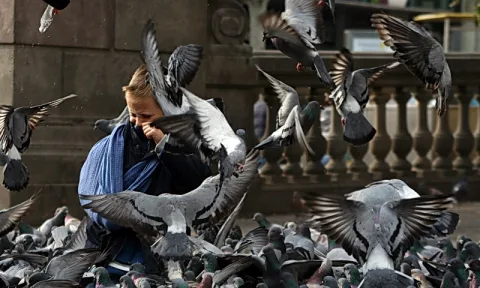 Ein blonder Junge in blauer Jacke sitzt inmitten eines Schwarms Tauben, die um ihn herum auffliegen.