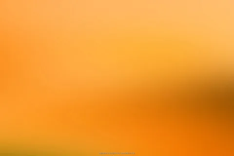 Weicher Verlauf von hellem Gelb oben über kräftiges Orange bis zu dunklerem Braun rechts unten, ohne erkennbare Motive.