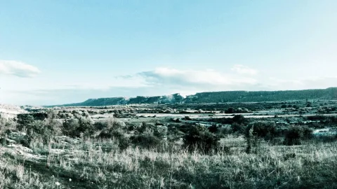 Weite, trockene Landschaft mit Gestrüpp und Gras im Vordergrund, dahinter ein langgezogener Felsrücken unter blassblauem Himmel mit wenigen Wolken.