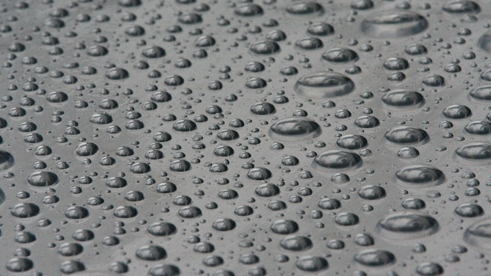 Viele kleine und größere Wassertropfen liegen dicht verteilt auf einer grauen, glatten Oberfläche.