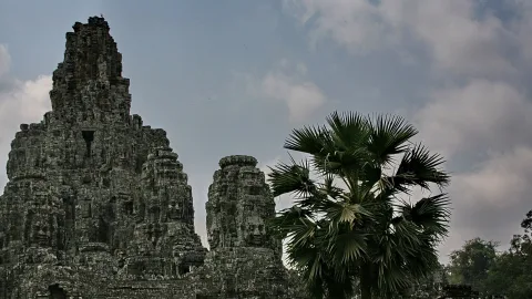 Verwitterte Steintürme des Bayon-Tempels mit großen Gesichtsreliefs, rechts davon eine Fächerpalme vor bewölktem Himmel.