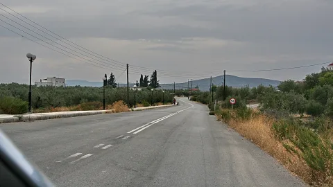Asphaltierte Landstraße führt leicht gekrümmt in die Ferne, links Straßenlaternen und ein Gehweg, rechts trockenes Gras und Olivenbäume, dahinter bewaldete Hügel unter bedecktem Himmel.
