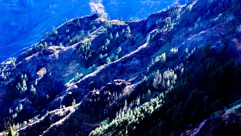Steile, bewaldete Bergflanke mit Felsrücken und vereinzelten Kiefern, in tiefes Blau getaucht, im Hintergrund eine Schlucht.