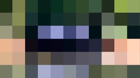 Raster aus farbigen Blöcken in dunklem Grün, Blau, Violett, Beige und Schwarz, in sechs Zeilen angeordnet.