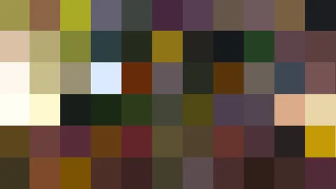 Rechteckiges Raster aus farbigen Quadraten in Oliv, Braun, Grau, Beige, Dunkelgrün und Schwarz.