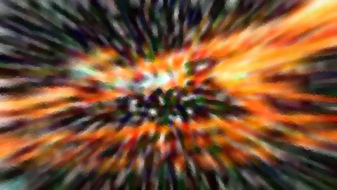 Abstrakte Komposition aus orangefarbenen, grünen und dunklen Streifen, die von einem hellen Zentrum radial nach außen laufen.