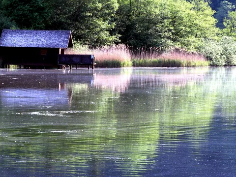 Dunkles Holzbootshaus auf Pfählen am Ufer eines Sees, davor Schilf und grüne Laubbäume, die sich im ruhigen Wasser spiegeln.